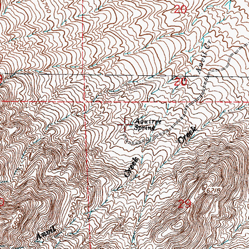 Topographic Map of Aquirre Spring, NM