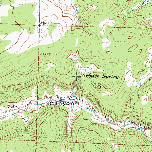 Topographic Map of Armijo Spring, NM