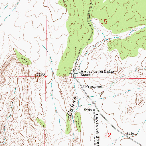Topographic Map of Arroyo de las Caas, NM