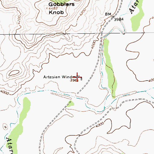 Topographic Map of Artesian Windmill, NM