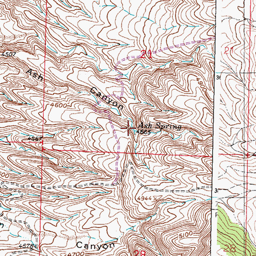 Topographic Map of Ash Spring, NM