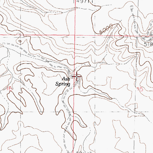 Topographic Map of Ash Spring, NM