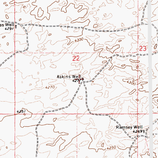 Topographic Map of Askins Well, NM