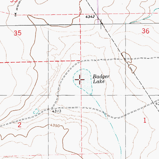 Topographic Map of Badger Lake, NM