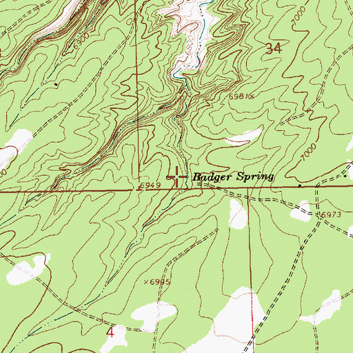 Topographic Map of Badger Spring, NM