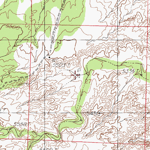 Topographic Map of Badlands Tank, NM