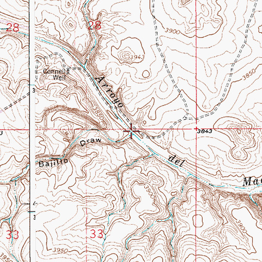 Topographic Map of Bajillo Draw, NM