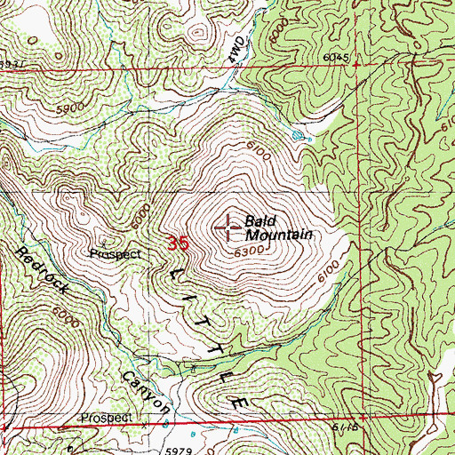 Topographic Map of Bald Mountain, NM