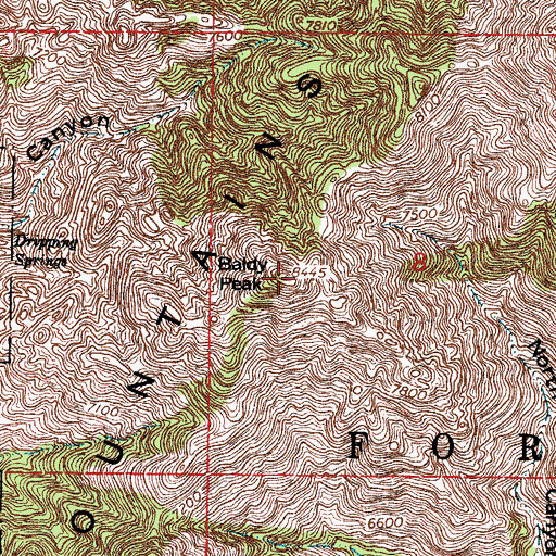 Topographic Map of Baldy Peak, NM
