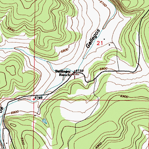 Topographic Map of Ballinger Ranch, NM