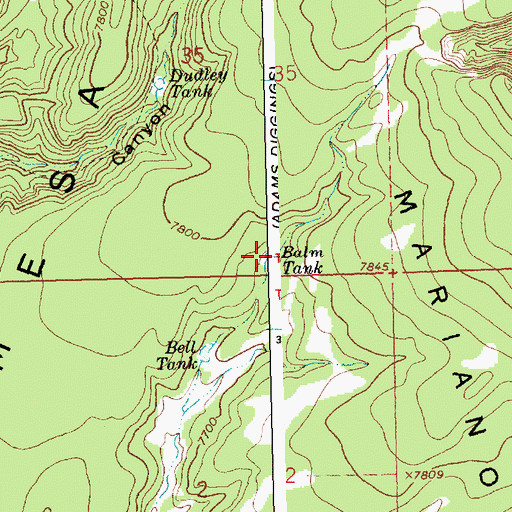 Topographic Map of Balm Tank, NM