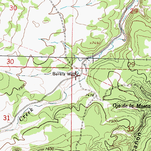 Topographic Map of Barela Well, NM