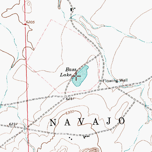 Topographic Map of Bass Lake, NM