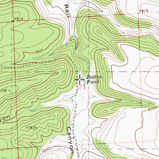 Topographic Map of Batton Pond, NM