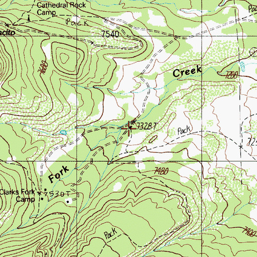 Topographic Map of Bear Creek, NM