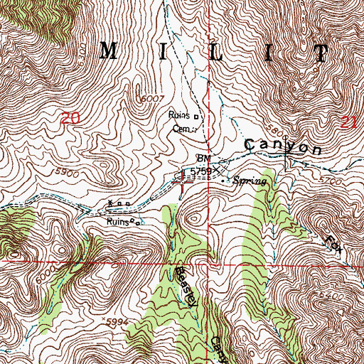 Topographic Map of Beasley Canyon, NM