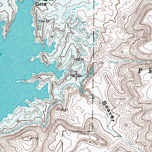 Topographic Map of Beaver Canyon, NM