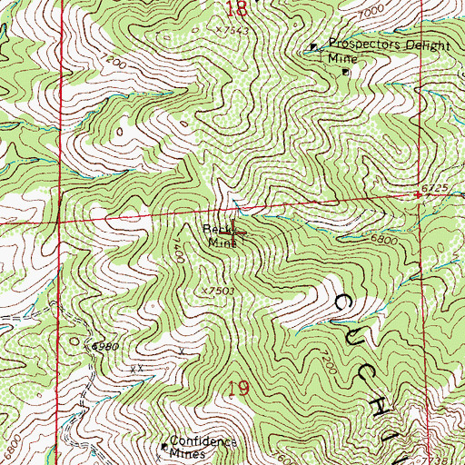 Topographic Map of Becky Mine, NM