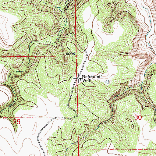 Topographic Map of Beheimer Well, NM