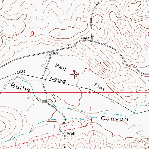 Topographic Map of Bell Flat, NM