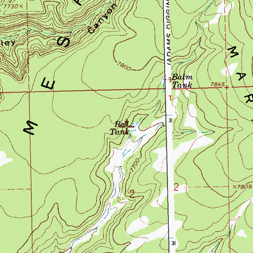 Topographic Map of Bell Tank, NM