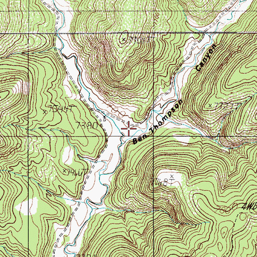 Topographic Map of Ben Thompson Canyon, NM