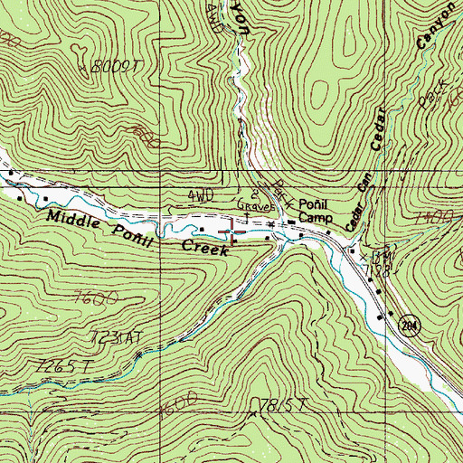 Topographic Map of Bents Camp, NM