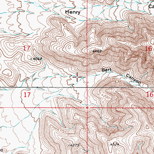 Topographic Map of Bert Canyon, NM