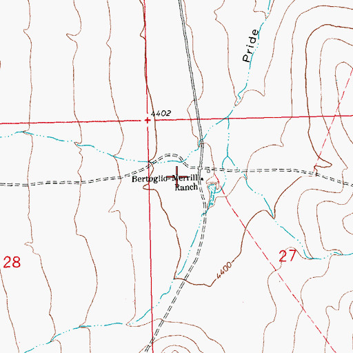 Topographic Map of Bertoglio-Merrill Ranch, NM