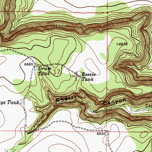 Topographic Map of Bessie Tank, NM