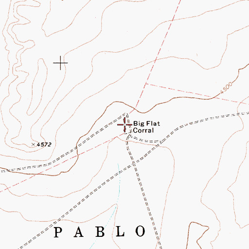 Topographic Map of Big Flat Corral, NM