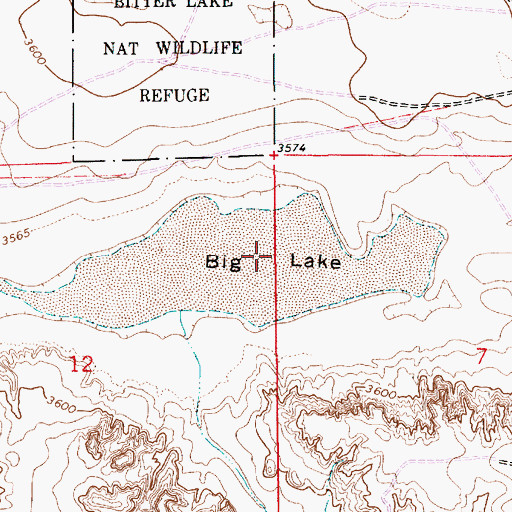 Topographic Map of Big Lake, NM