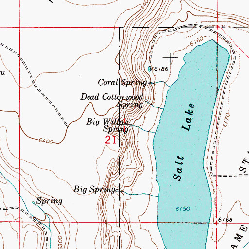 Topographic Map of Big Willow Spring, NM