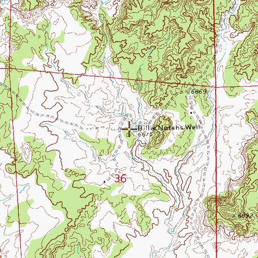 Topographic Map of Billie Notahs Well, NM