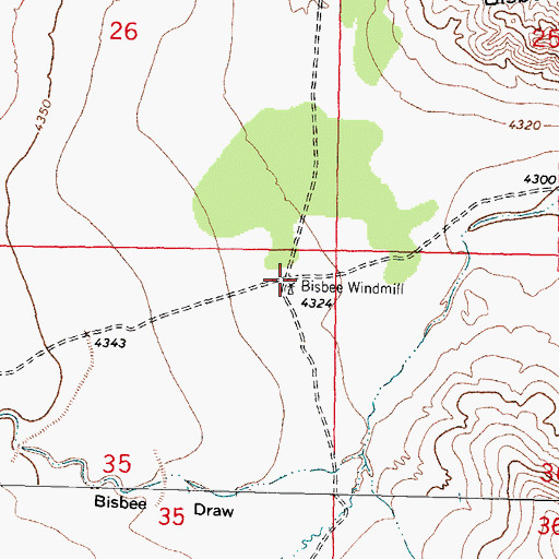 Topographic Map of Bisbee Windmill, NM
