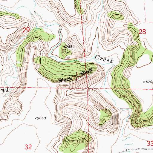 Topographic Map of Black Bluff, NM