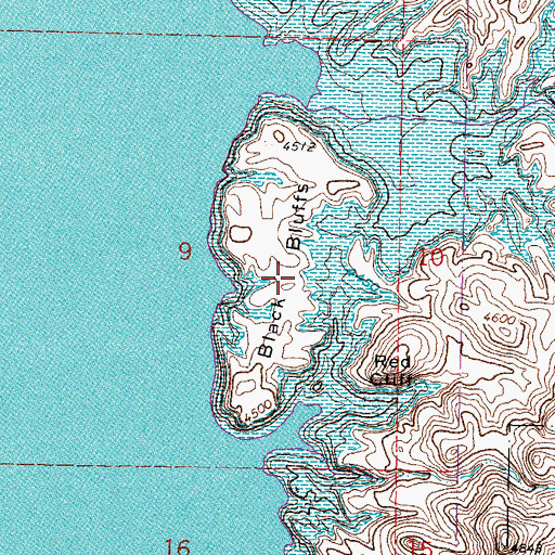 Topographic Map of Black Bluffs, NM