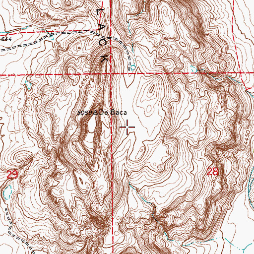 Topographic Map of Black Hills, NM