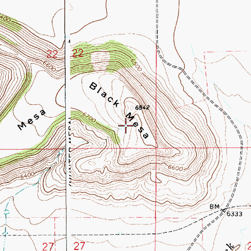 Topographic Map of Black Mesa, NM
