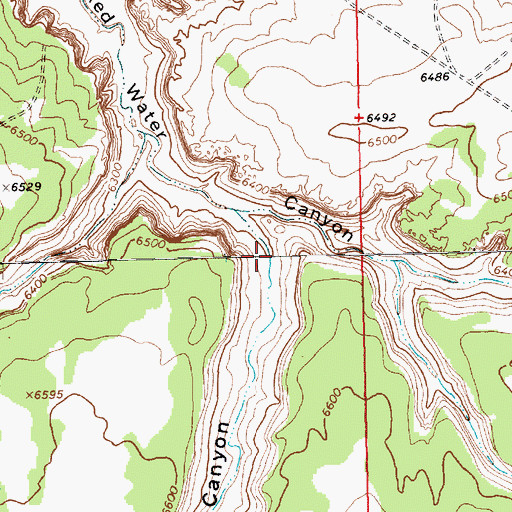 Topographic Map of Black Mesa Canyon, NM