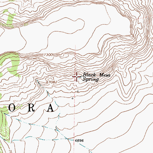 Topographic Map of Black Mesa Spring, NM