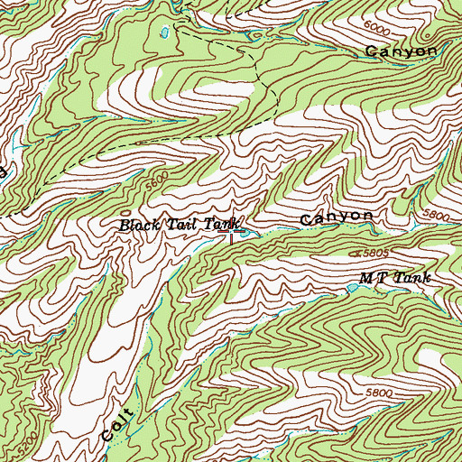 Topographic Map of Black Tail Tank, NM