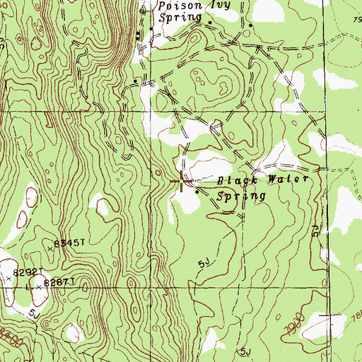 Topographic Map of Black Water Spring, NM