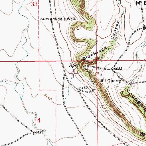 Topographic Map of Blackjack Canyon, NM
