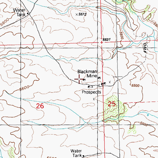 Topographic Map of Blackman Mine, NM