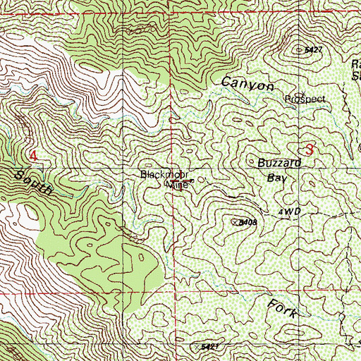 Topographic Map of Blackmoor Mine, NM