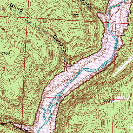 Topographic Map of Blind Canyon, NM