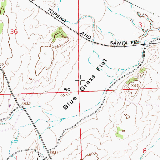 Topographic Map of Blue Grass Flat, NM