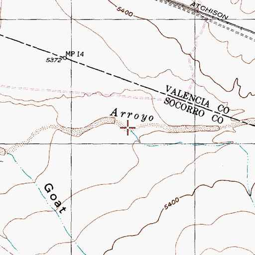 Topographic Map of Blue Springs Draw, NM