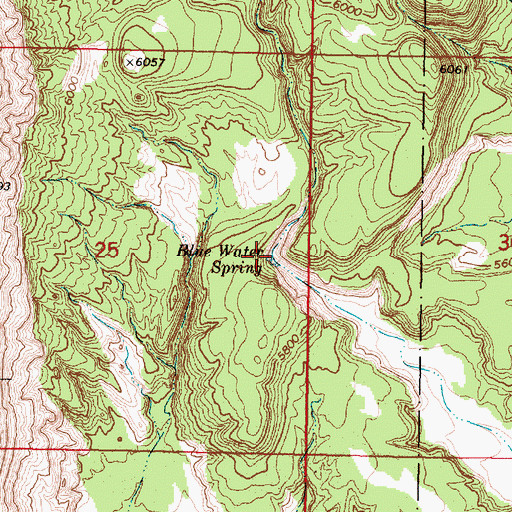 Topographic Map of Blue Water Spring, NM